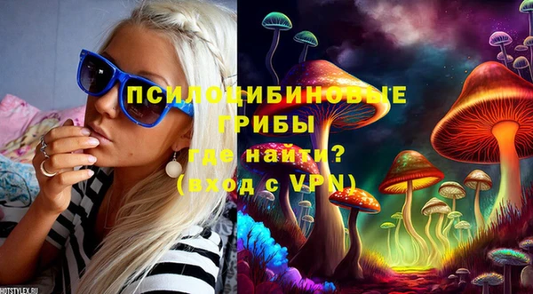 скорость Лагань