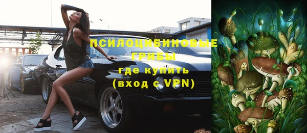 шишки Ладушкин